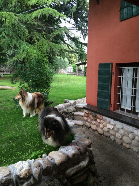 Villa Ca' Boschetto Bassano del Grappa Exterior foto
